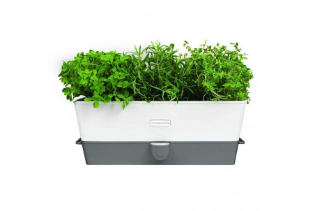 Conservateur à herbes fraiches Cole & Mason en pot - 3 emplacements