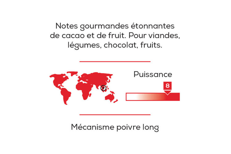 Poivre long rouge Takeo du Cambodge Peugeot dans pot en verre - 40g