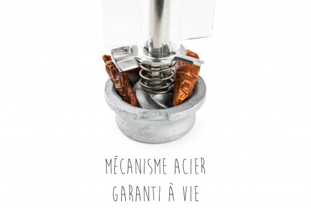 Moulin à piment manuel Peugeot Oléron chocolat acrylique et bois naturel - 14cm