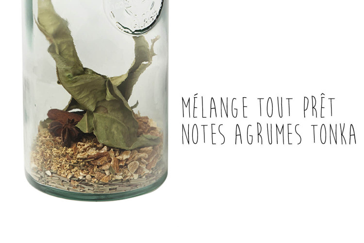 Mélange pour rhum arrangé Quai Sud Antilles en carafe agrumes fèves tonka - 1l