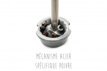 Moulin à épices Peugeot Line Carbone en bois - 12cm