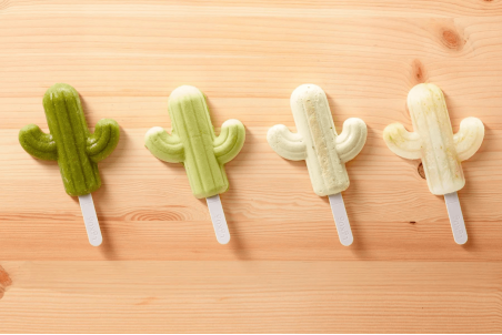 Moule à glace en silicone Lékué Platinum - Forme cactus