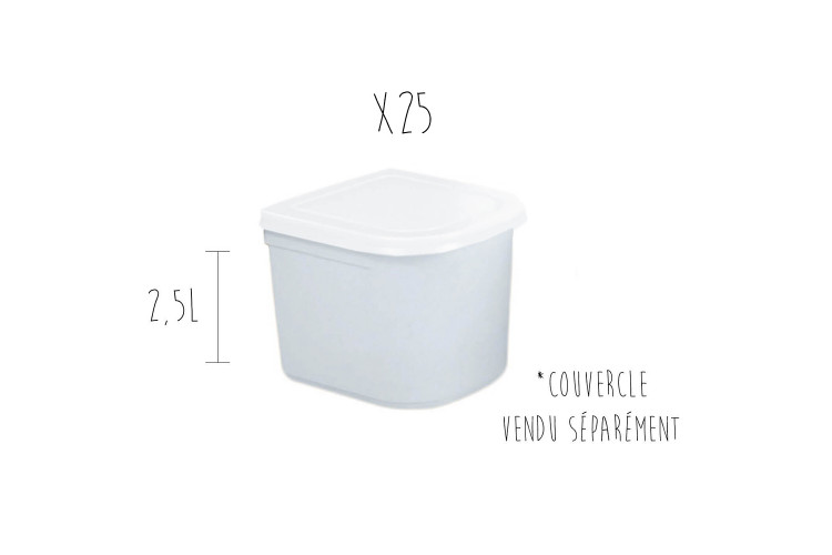 Lot de 25 bacs à glace pour vitrine 2,5L 17cm