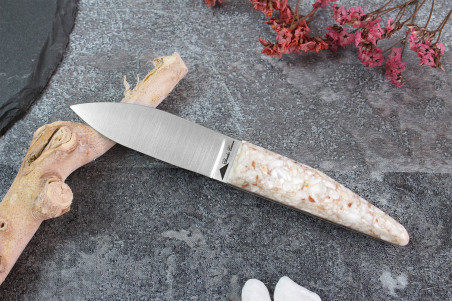 Couteau à huître Charles Canon acier inox trempé 6,5cm - coquilles Saint Jacques