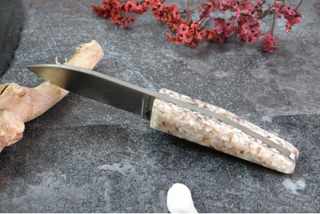 Couteau à huître Charles Canon acier inox trempé 6,5cm - coquilles Saint Jacques