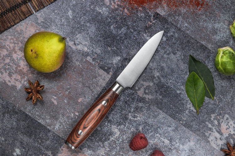 Couteau d'office Sayuto Pakka X50 lame inox 9cm et rivetée