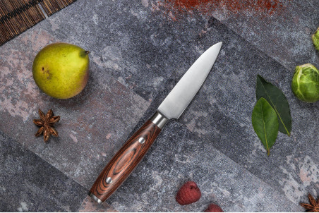 Couteau d'office Sayuto Pakka X50 lame inox 9cm et rivetée