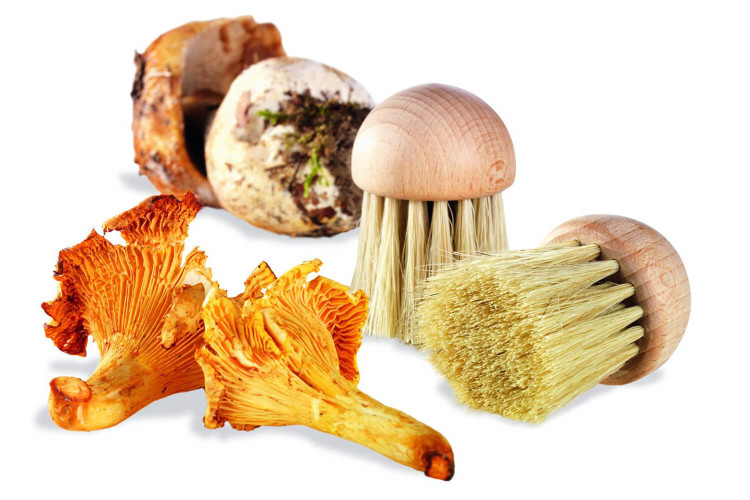 Brosse à champignons en bois La Bonne Graine 4cm