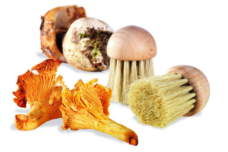 Brosse à champignons en bois La Bonne Graine 4cm