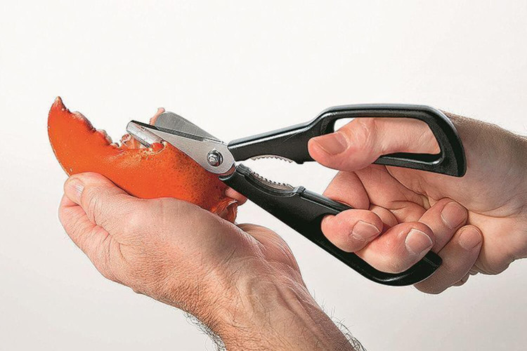 Ciseaux inox pour crustacés MoHA! Scampo démontables inox et ABS