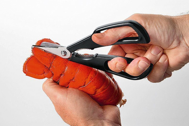 Ciseaux inox pour crustacés MoHA! Scampo démontables inox et ABS