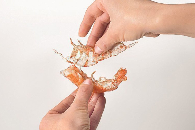 Ciseaux inox pour crustacés MoHA! Scampo démontables inox et ABS