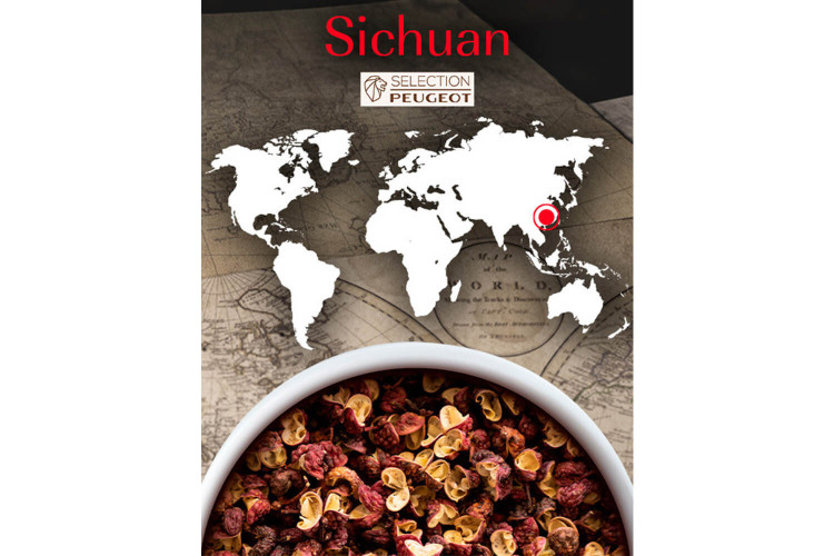 Coffret de poivre rouge de Sichuan Peugeot - 4 sachets fraîcheur