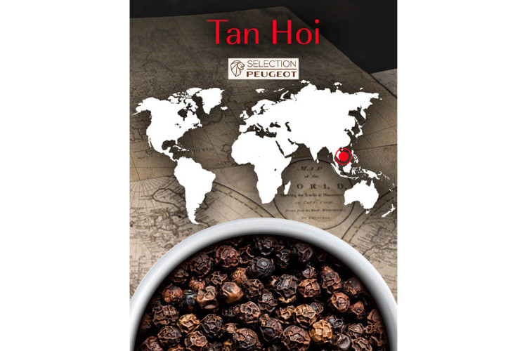Coffret poivre noir Tan Hoi du Vietnam - 7 sachets fraîcheur 20g