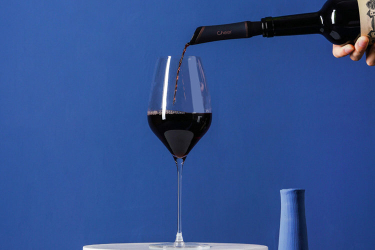 Bec verseur et aérateur à vin Cheer Moda Bouquet - Synthétique et inox