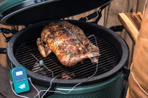 Thermomètre culinaire Big Green Egg numérique avec double sonde 2