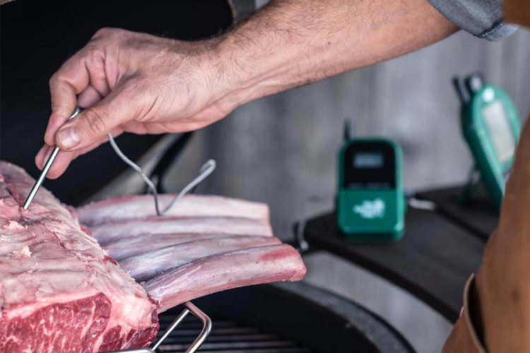 Thermomètre culinaire Big Green Egg numérique avec double sonde