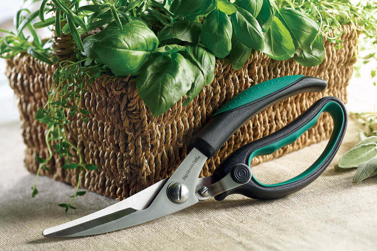 Ciseaux de cuisine Big Green Egg lames inox poignée antidérapante