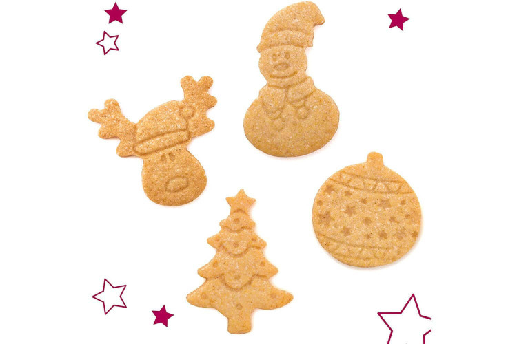Préparation pour biscuits de Noël Scrapcooking 295g 