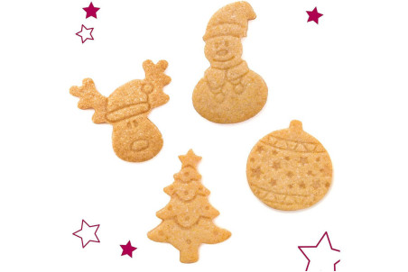 Préparation pour biscuits de Noël Scrapcooking 295g 